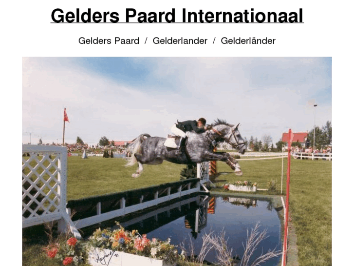 www.gelderlanderhorse.nl