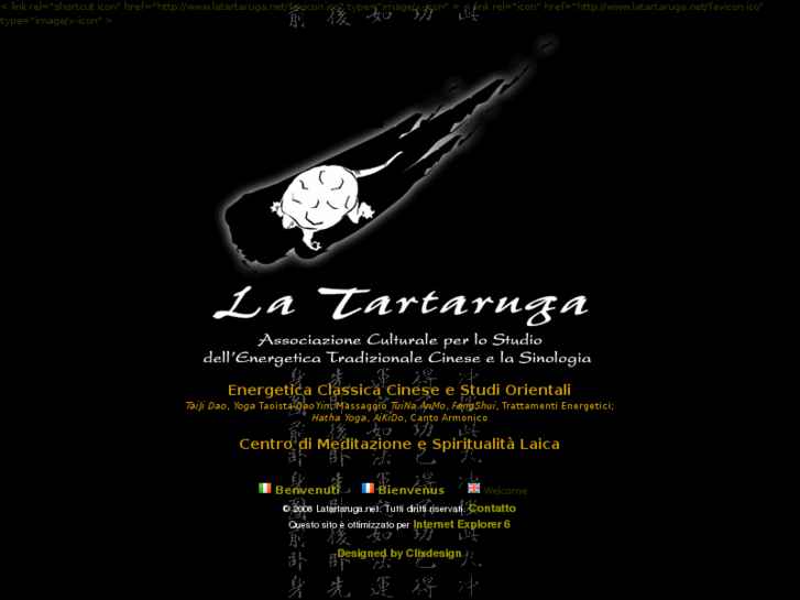 www.latartaruga.net