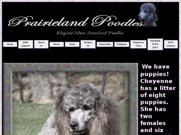 www.prairielandpoodles.com