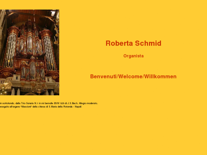 www.robertaschmid.com