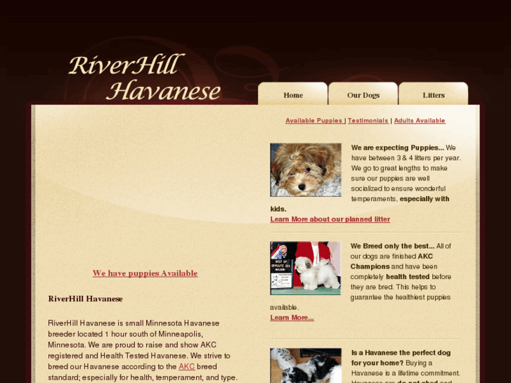 www.riverhillhavanese.com