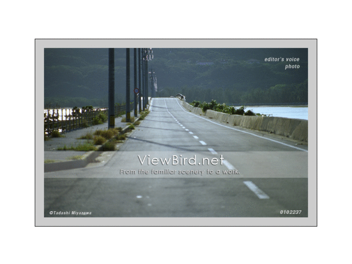 www.viewbird.net
