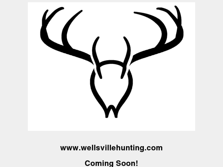 www.wellsvillehunting.com