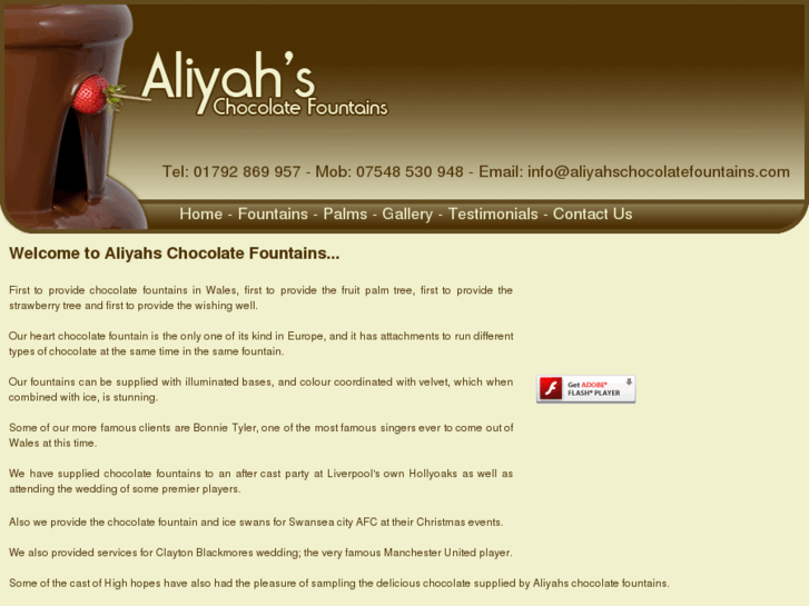 www.aliyahschocolatefountains.com