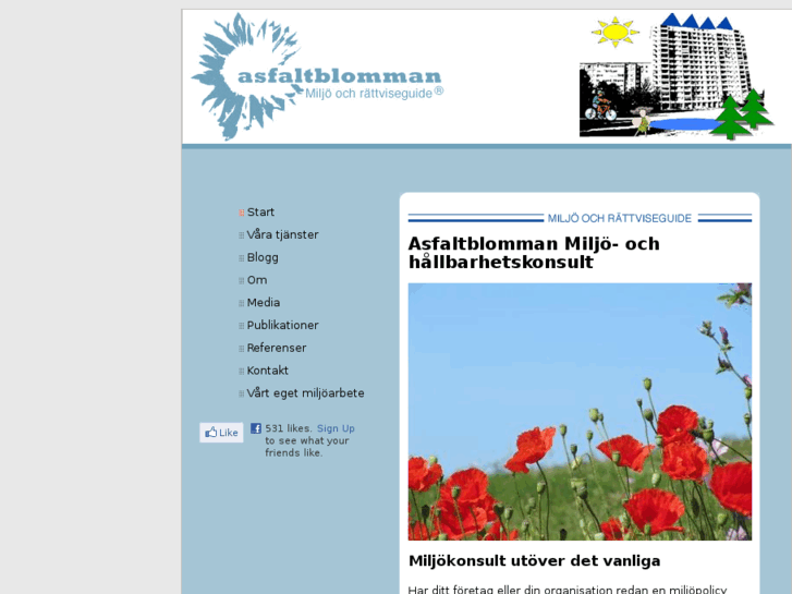 www.asfaltblomman.com