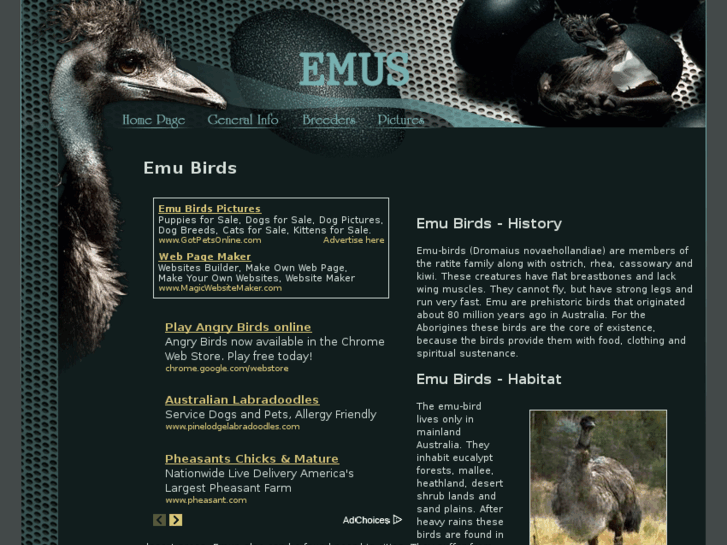 www.emu-birds.com