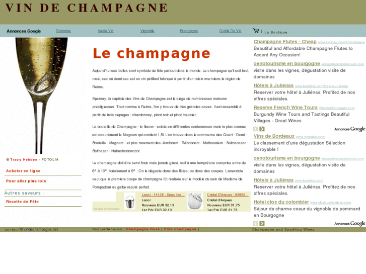 www.vindechampagne.net