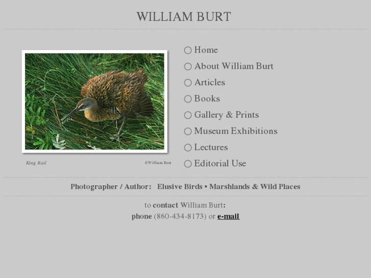 www.williamburt.com