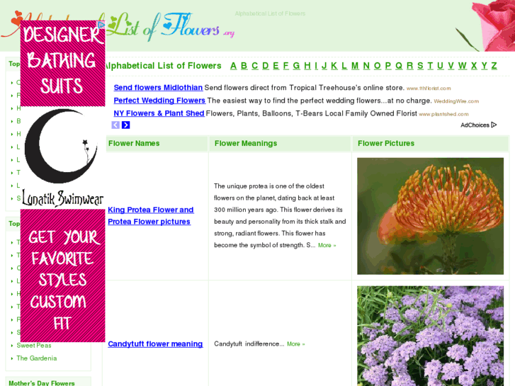 www.alphabeticallistofflowers.org