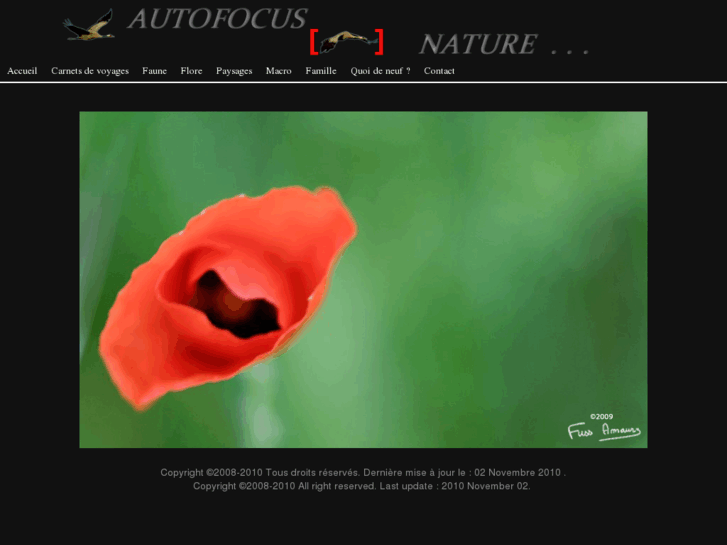 www.autofocus-nature.com