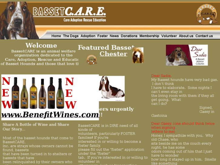 www.bassetcareinc.org