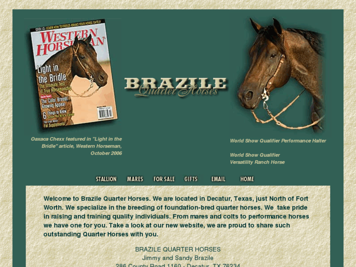 www.brazilequarterhorses.com