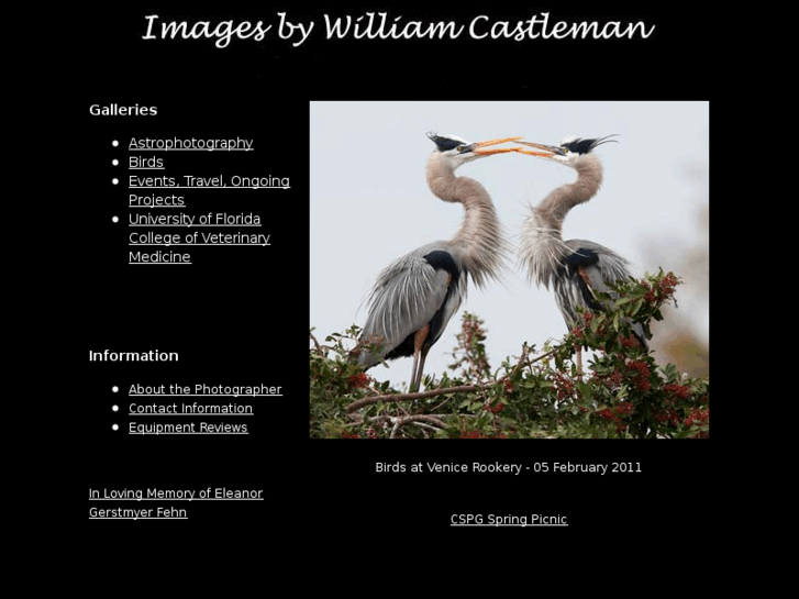 www.castlemanphotography.com