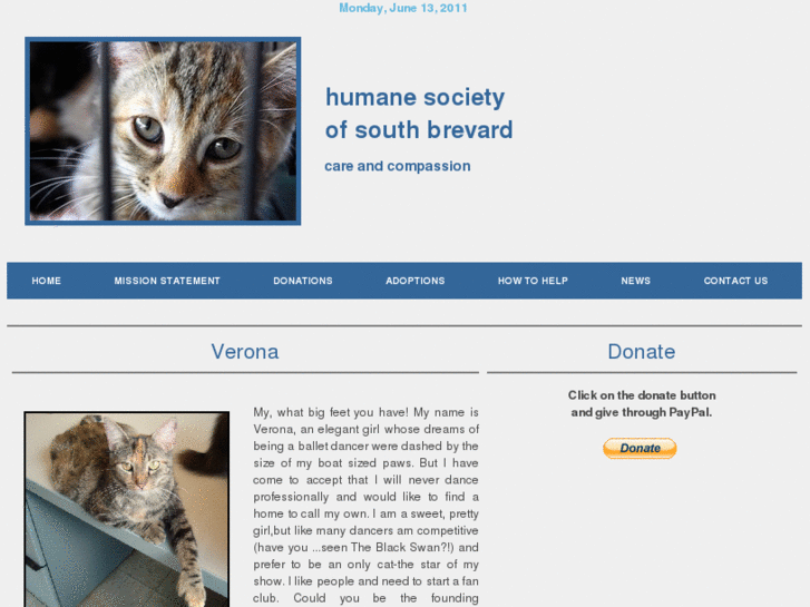 www.humanesocietyofsouthbrevard.org