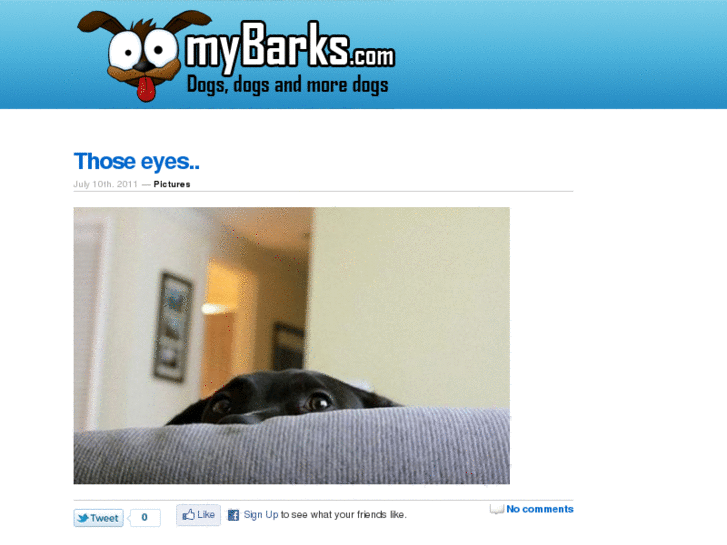 www.mybarks.com