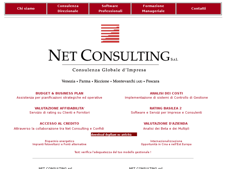 www.netw-consulting.com