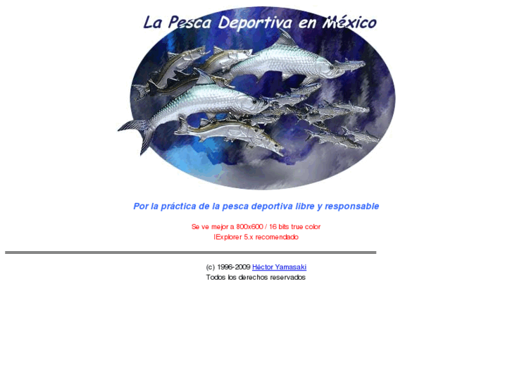 www.pesca.org.mx