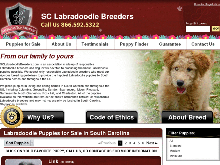 www.sclabradoodlebreeders.com