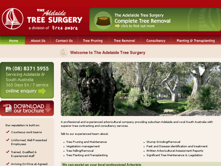 www.adelaidetreesurgery.com
