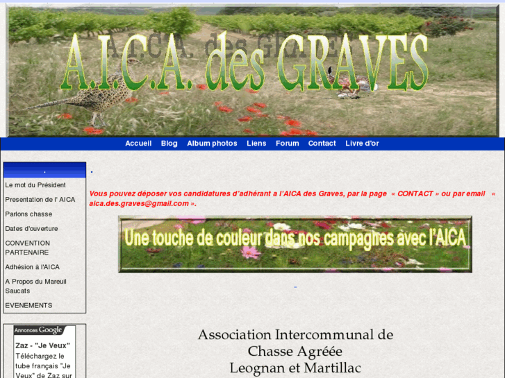 www.aicadesgraves.com