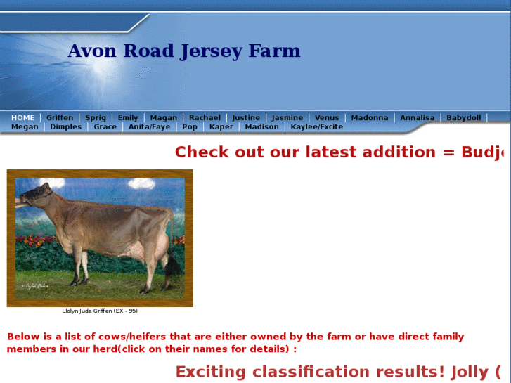 www.avonroadjerseyfarm.com