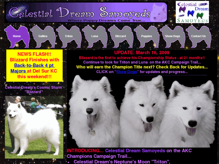 www.celestialdreamsamoyeds.com