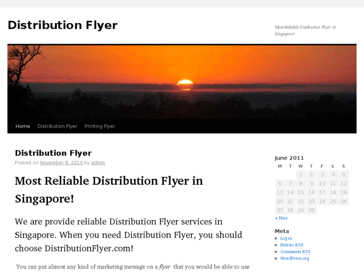 www.distributionflyer.com