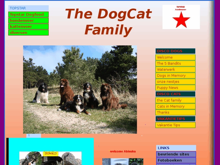 www.dogcatdisco.com