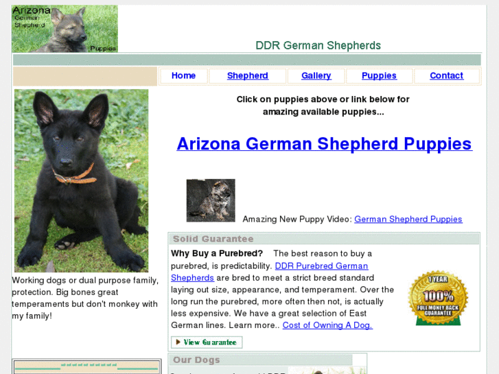 www.germanshepherdpuppiesarizona.com