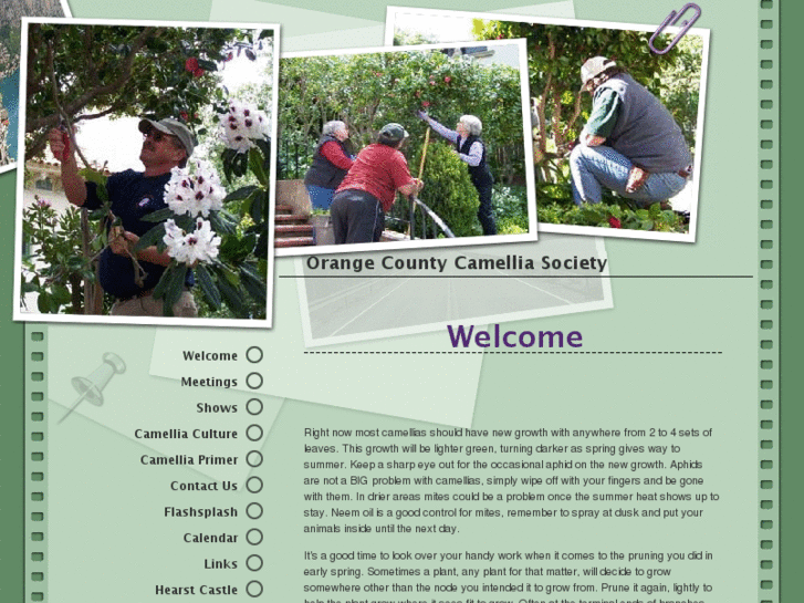 www.occamellias.org