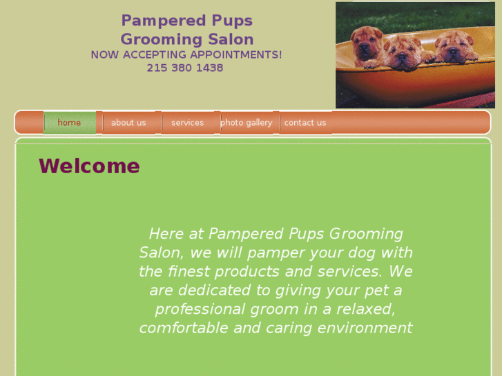 www.pamperedpupsgroomingsalon.com