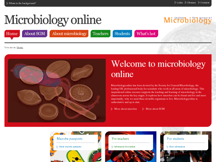 www.microbiologyonline.org