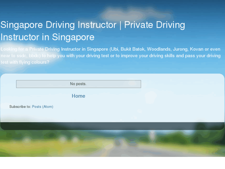 www.sgdrivinginstructors.com