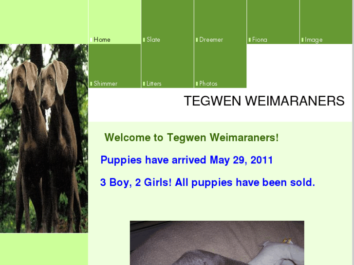 www.tegwenweims.com