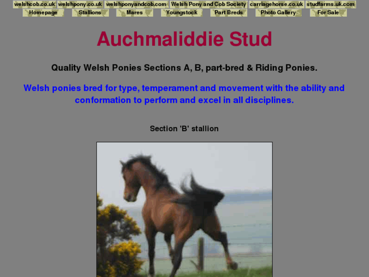 www.auchmaliddie.com