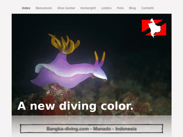 www.bangka-diving.com