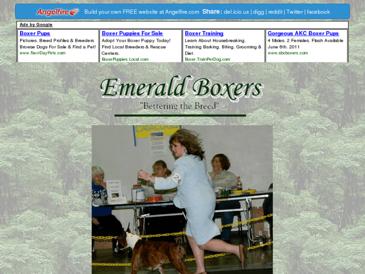 www.emeraldboxers.com