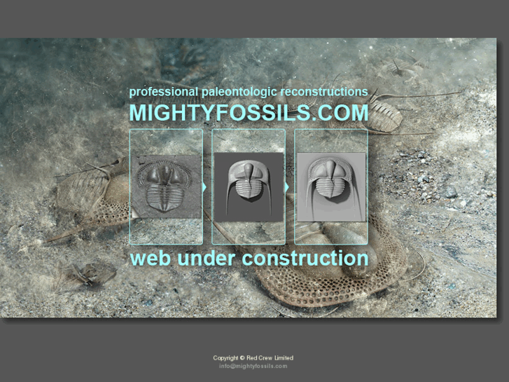 www.mightyfossils.com