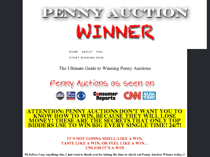 www.pennyauctionwinner.com