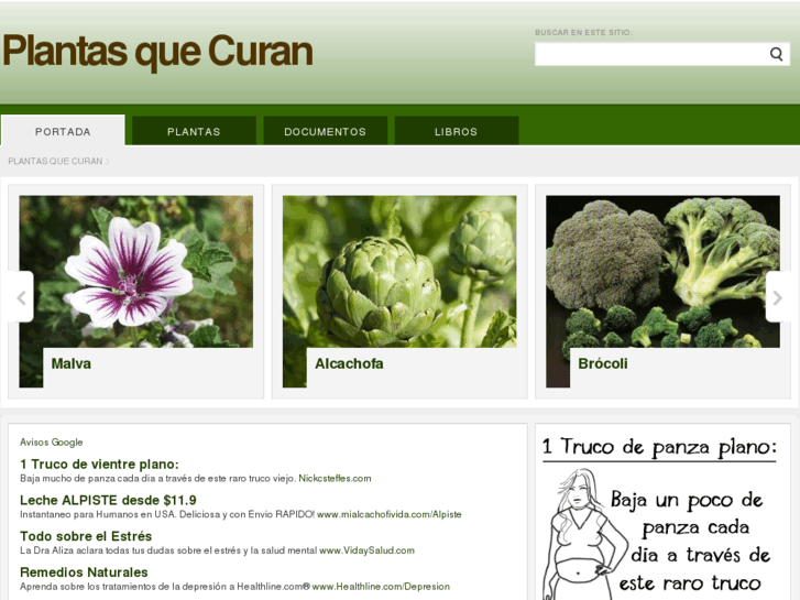 www.plantasquecuran.com