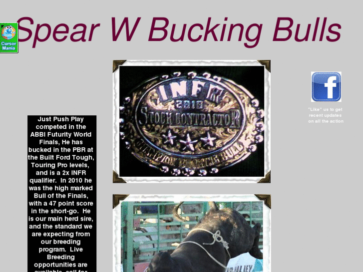 www.spearwbuckingbulls.com