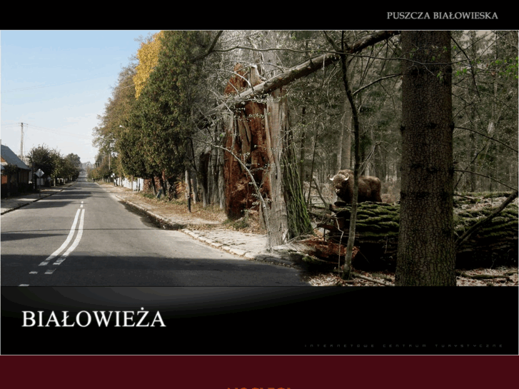 www.bialowieza-4u.pl