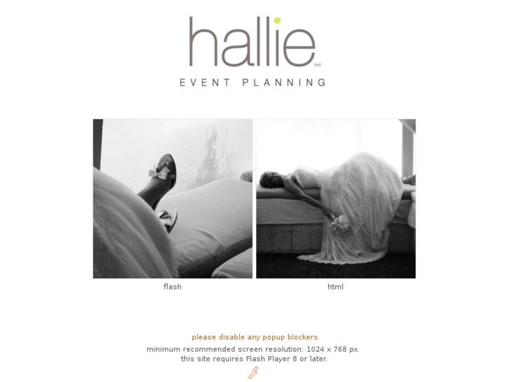 www.hallieinc.com