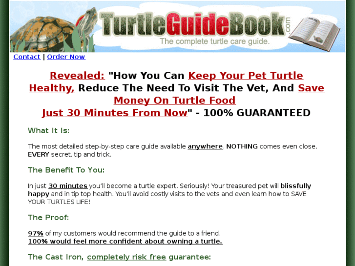 www.ilovemyturtle.com