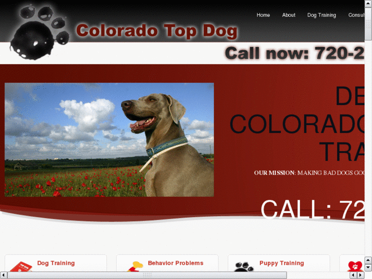 www.dogtrainingincolorado.com