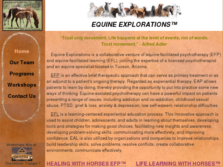 www.equineexplorations.com