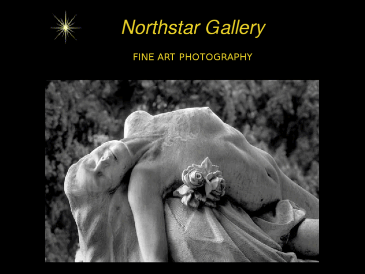 www.northstargallery.com