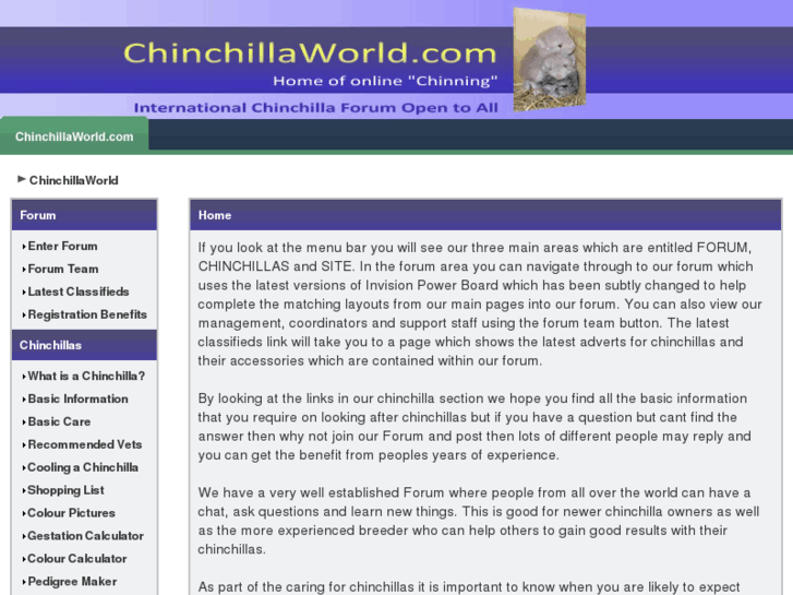 www.chinchillaworld.com