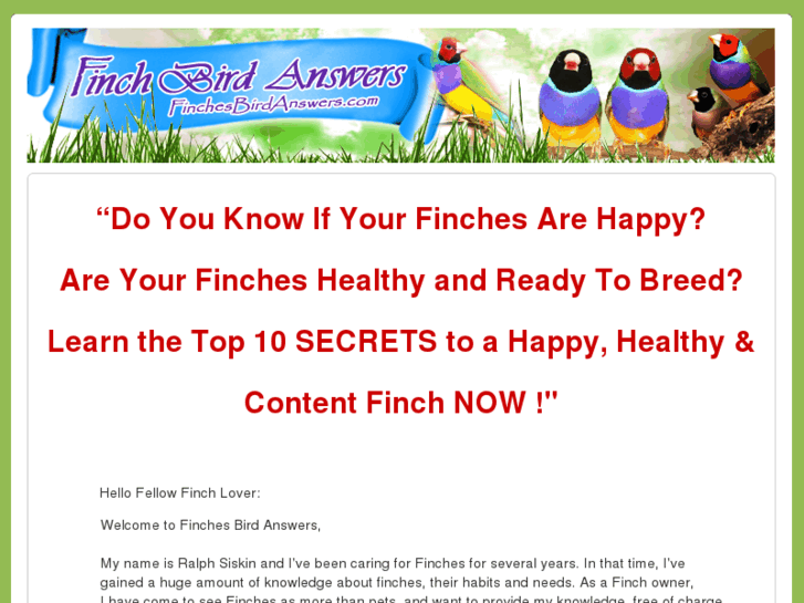 www.finchesbirdanswers.com