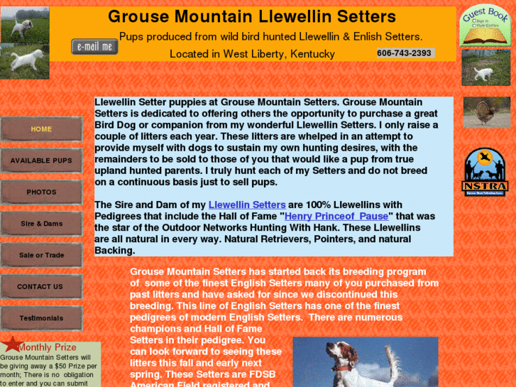 www.grousemountainsetters.com